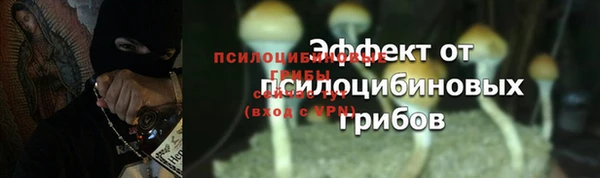 мяу мяу мука Бугульма