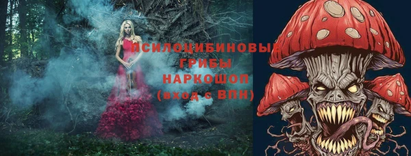 мяу мяу мука Бугульма