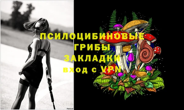 мяу мяу мука Бугульма